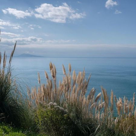 Studio Design - Proche Plage Biarritz Exterior foto