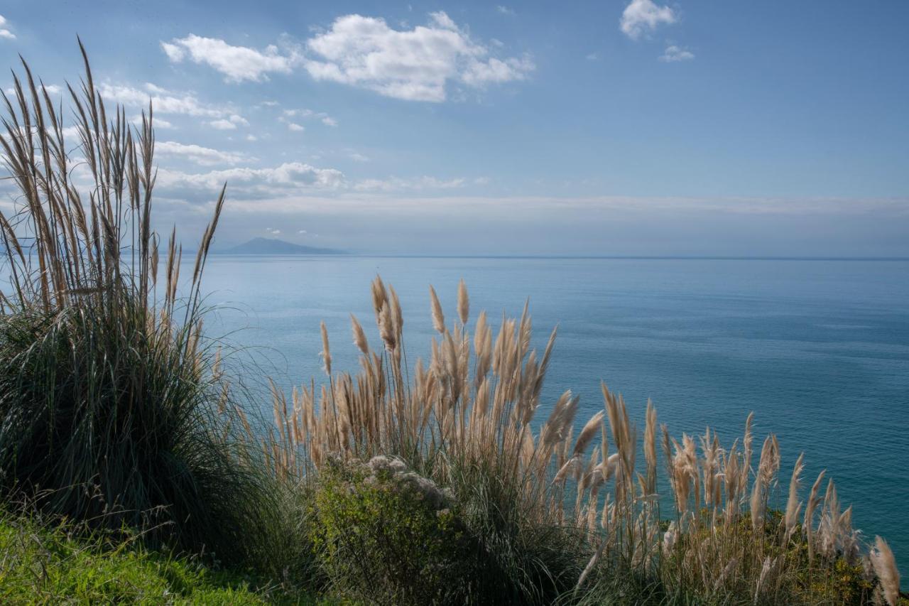 Studio Design - Proche Plage Biarritz Exterior foto